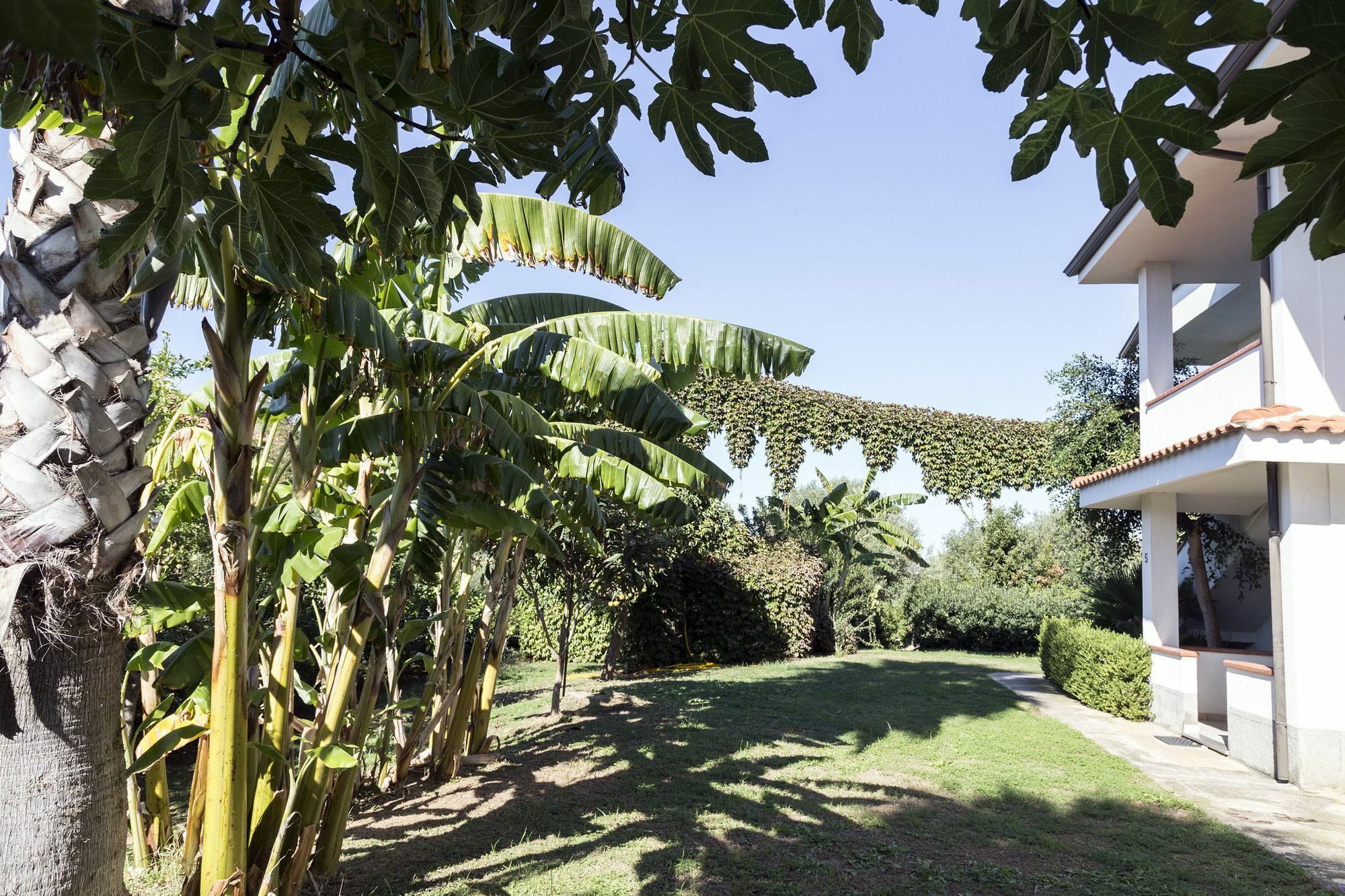 Happy Days Aparthotel Capo Vaticano Exterior photo