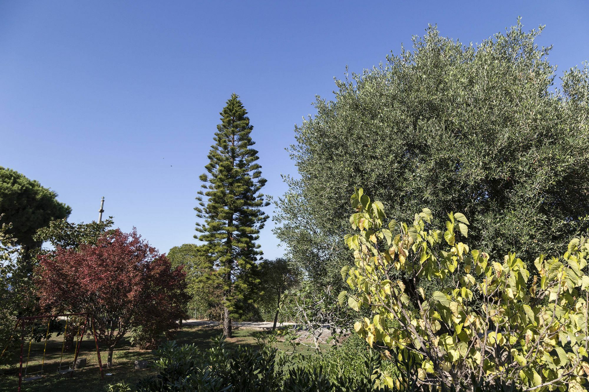 Happy Days Aparthotel Capo Vaticano Exterior photo